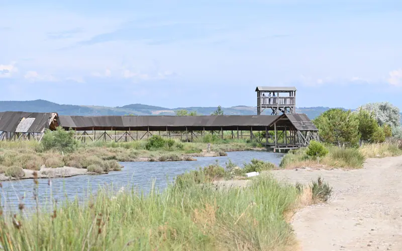 Karavasta Lagoon Observation Tower
