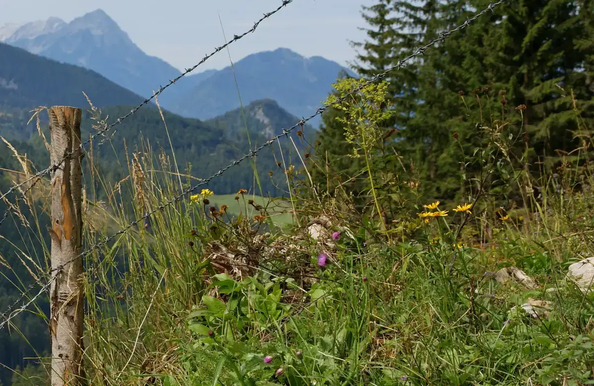 Kalkalpen National Park