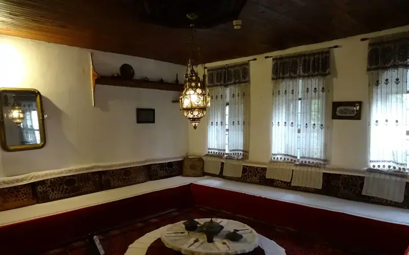 Svrzo's House