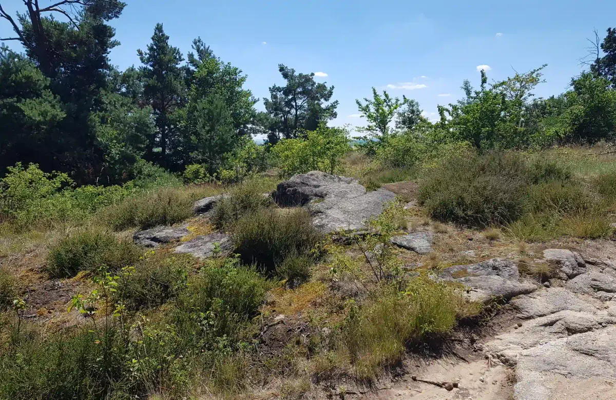 Podyjí National Park