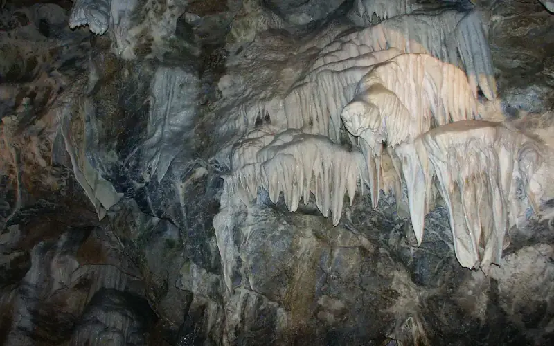 Punkva Caves