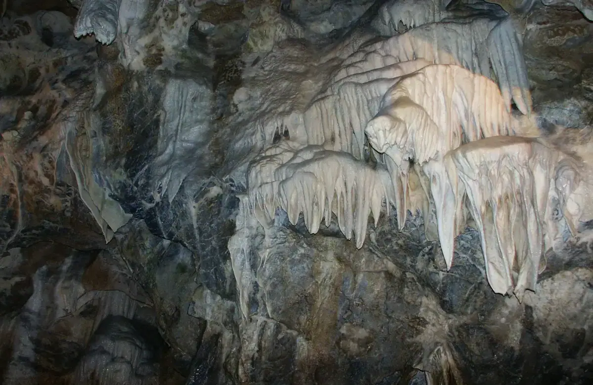 Punkva Caves