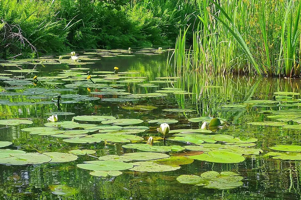 Spreewald Biosphere Reserve