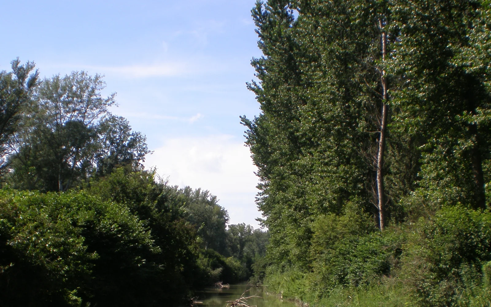 Szigetköz