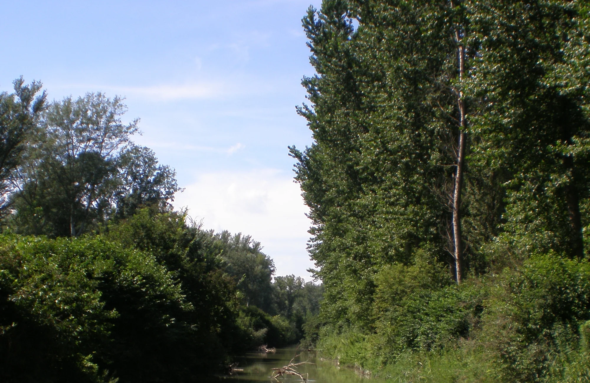 Szigetköz