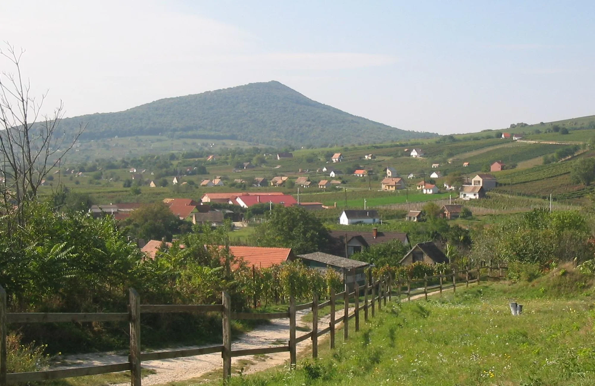 Villány Wine Region