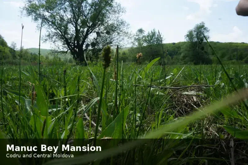 Manuc Bey Mansion