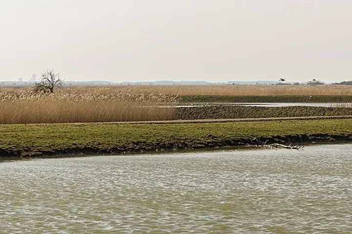 Oostvaardersplassen