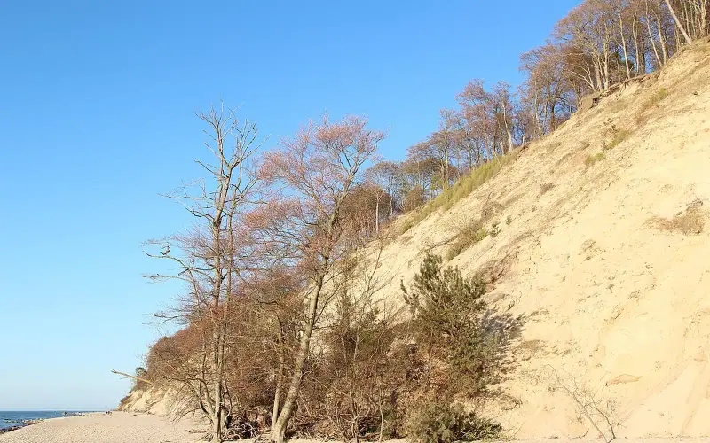 Wolin National Park and Międzyzdroje Cliffs