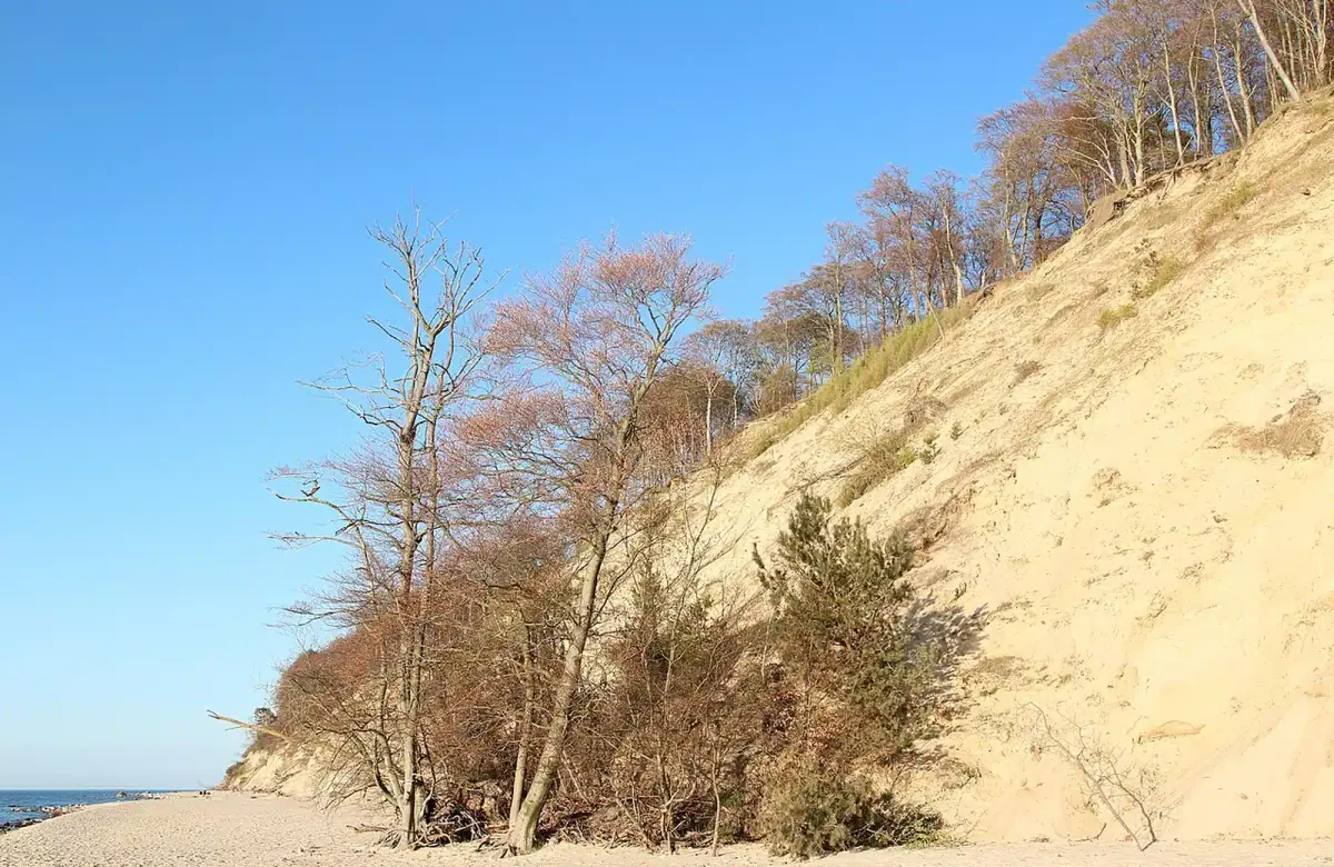 Wolin National Park and Międzyzdroje Cliffs