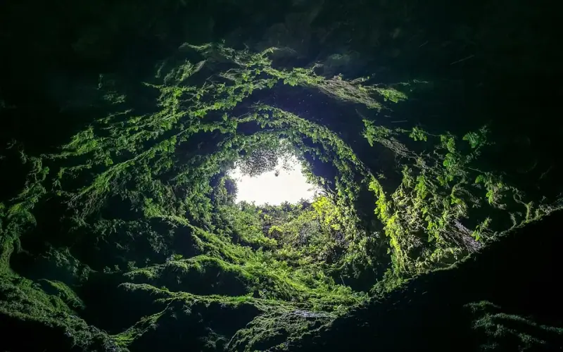 Algar do Carvão