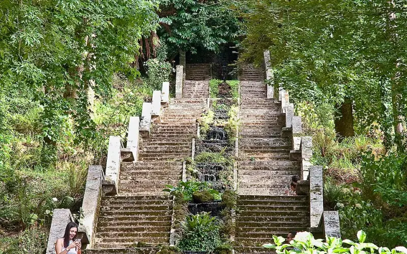 Buçaco National Forest