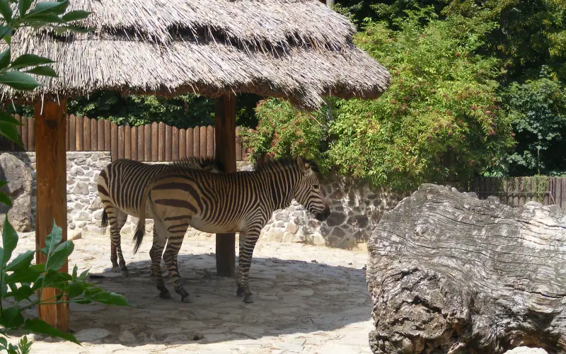 Bojnice Zoo