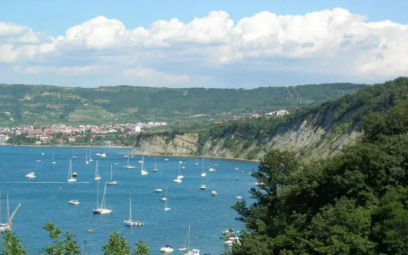 Strunjan Nature Reserve and Moon Bay Viewpoint