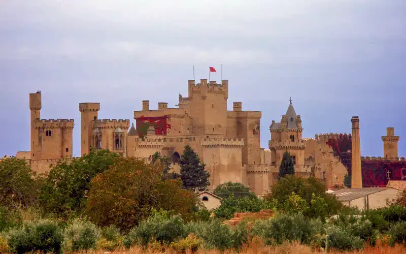 Palace of the Kings of Navarre of Olite