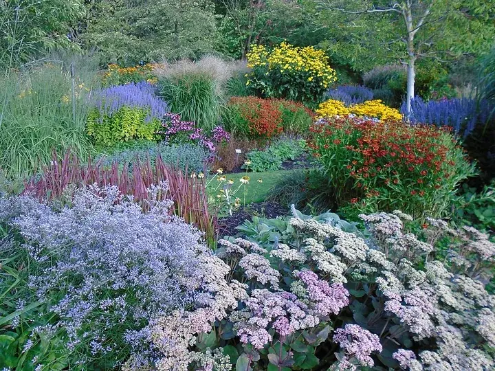 Gothenburg Botanical Garden