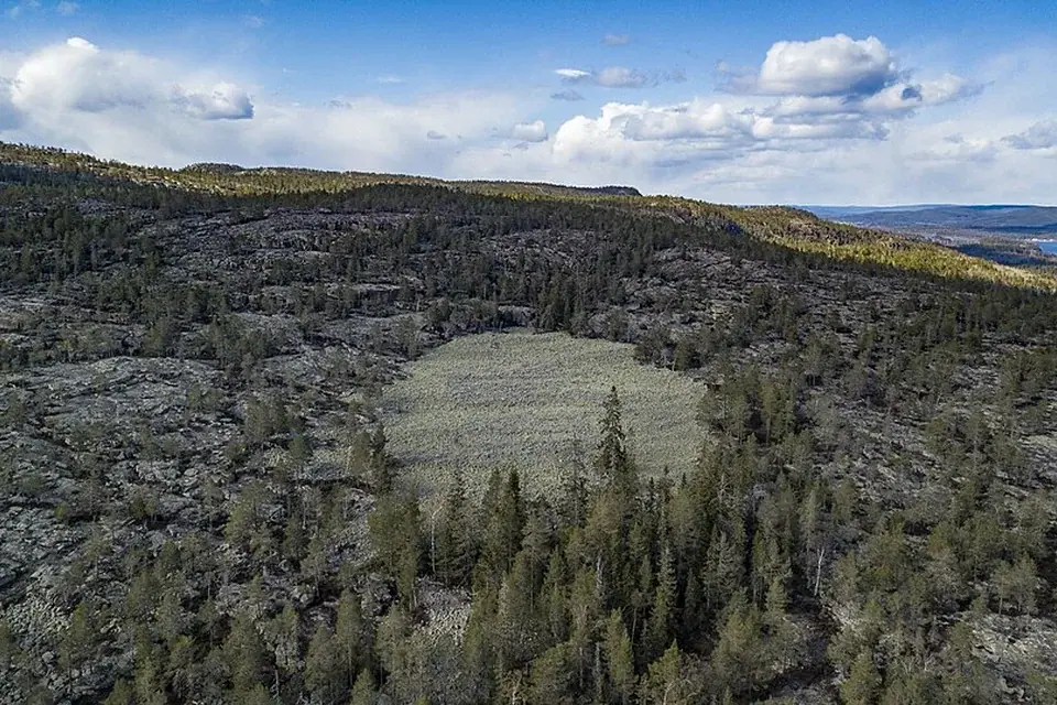 Skuleskogen National Park