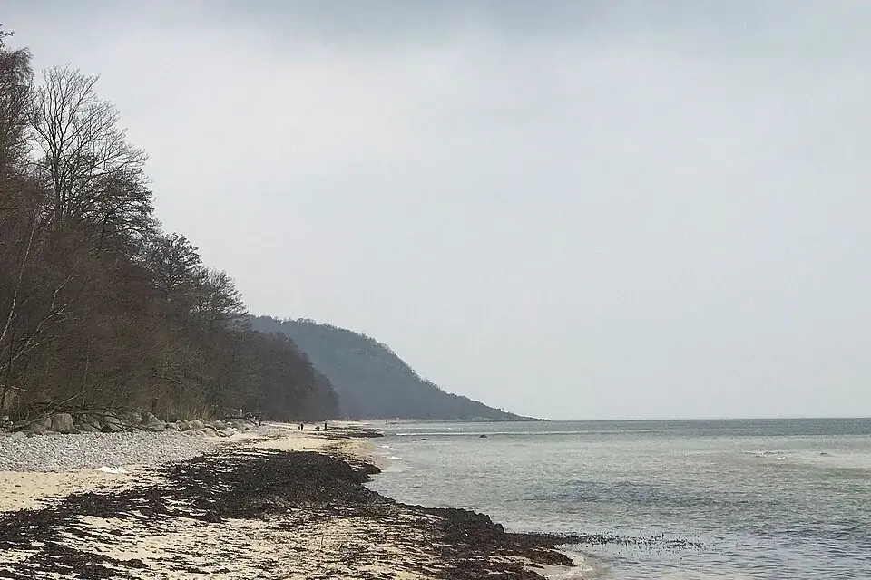Stenshuvud National Park