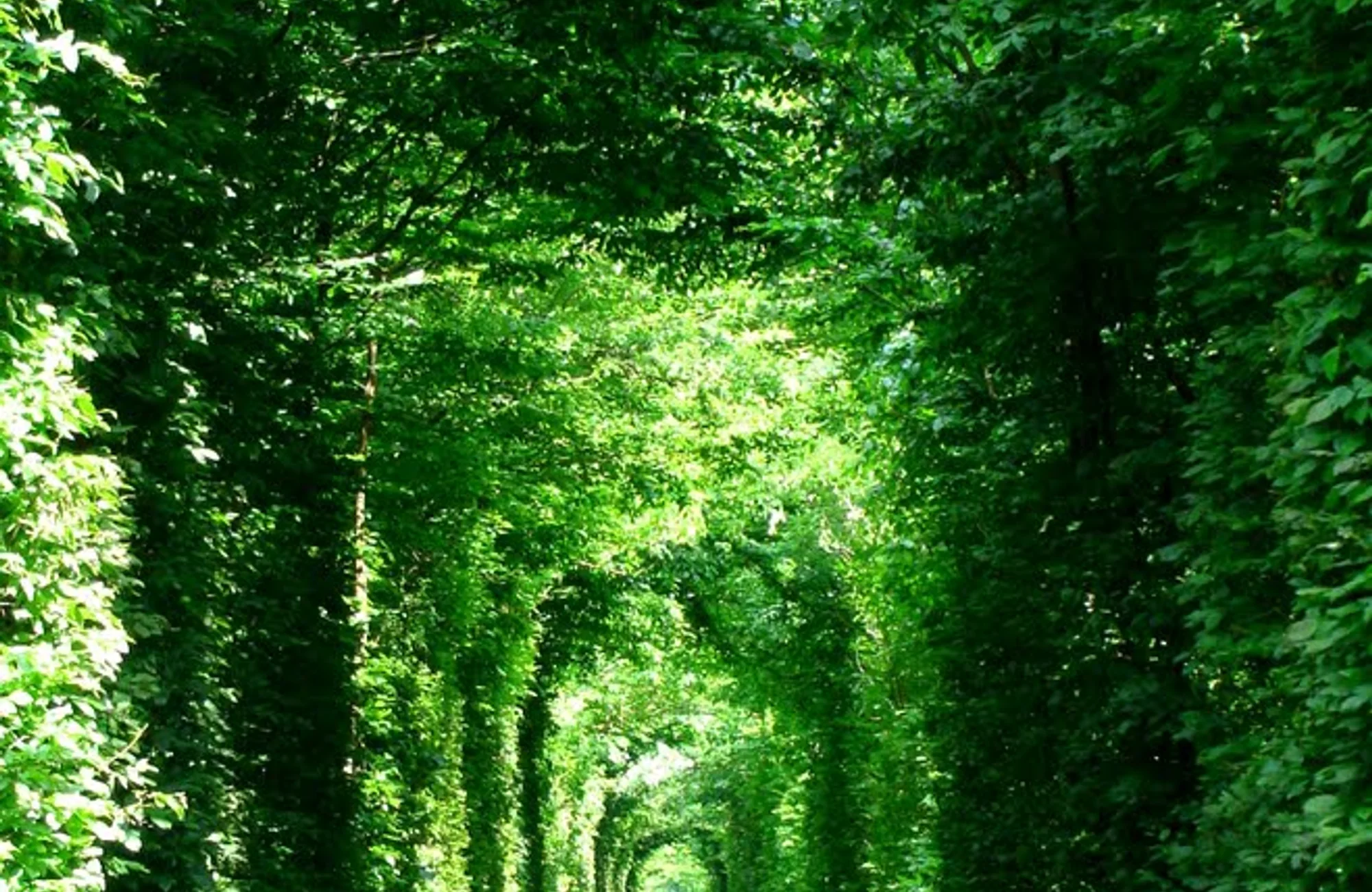 Tunnel of Love, Klevan